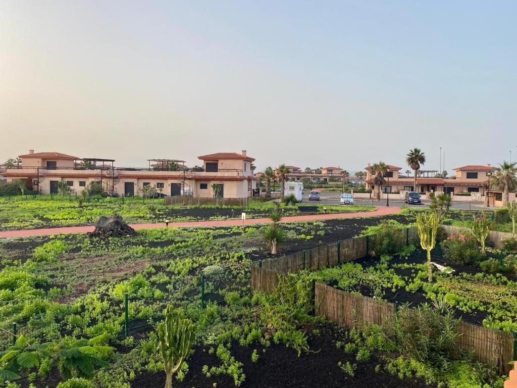 Jardín